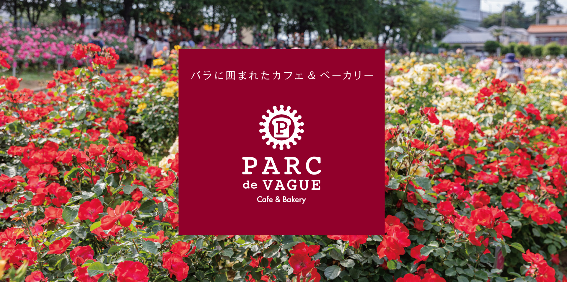 PARC de VAGUE